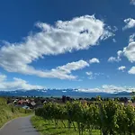Panorama Seeblick