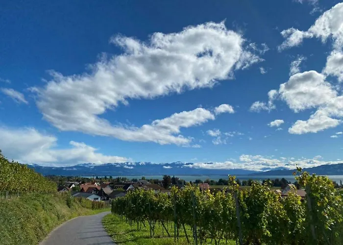 Panorama Seeblick * Wasserburg